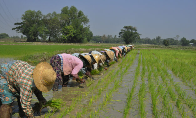 ဗၞိက်ဗွဝ်ဖျာနာနာက္ဍင်တိုန်တုဲ ၚုဟ်သြောံစှ်ေအာဂှ် တၠဝါဗ္ၚတအ် ကျဆောံဂတးဂတုန်