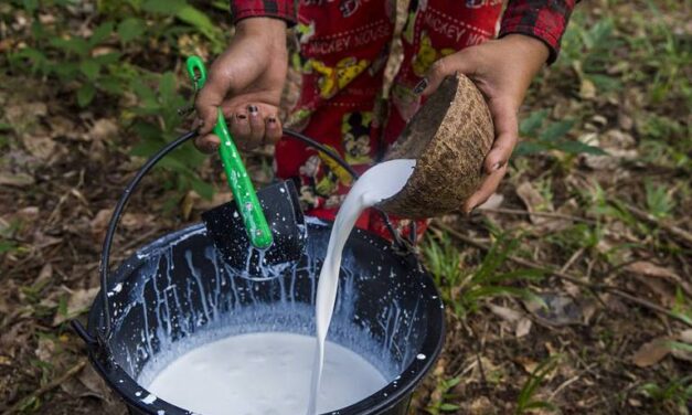 တၠကၠအ်ဂမၠိုၚ် ဂၠာဲကောန်ကမၠောန်ခွါတ်ထၜိုတ် ဝါတ်တိုန်ဇၟာပ်သၞာံ