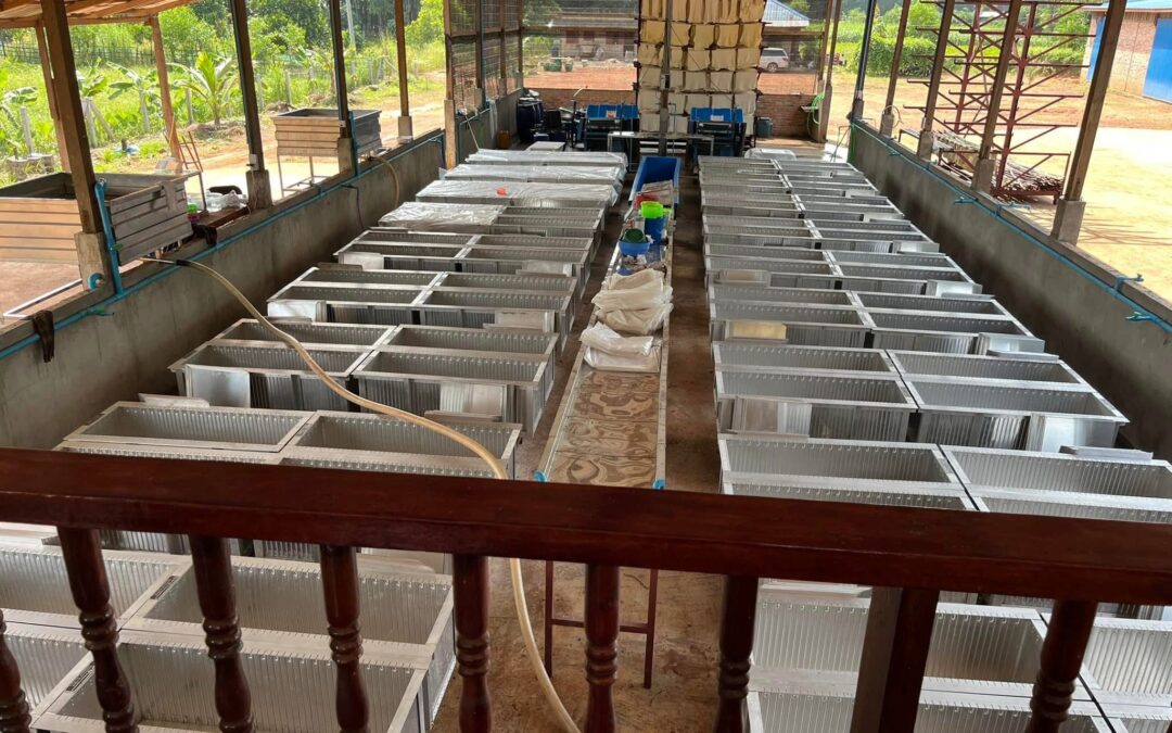 ညးသွံဍာ်ထ္ၜိုတ်ဂၠိုၚ်တုဲ တၠကမၠောန်ရုၚ်စက်ဗုတ်ထ္ၜိုတ်တအ် ရာန်ဍဵုဖျေံၚုဟ်