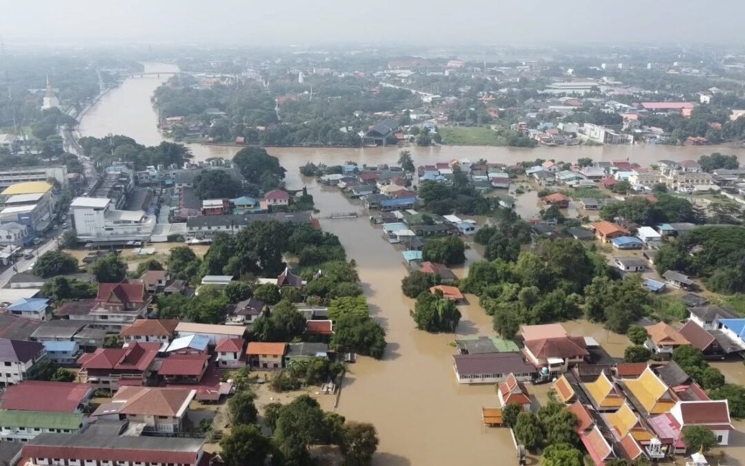 ဟိုတ်နူဘဲဍာ်ဇၞော်တုဲ ပ္ဍဲဍုင်အယုဒ္ဓယ မၞိဟ်ချိုတ်(၁၄)တၠ၊ သ္ရိမံင်ဗၞတ် (၆) ဠက်မ ဗၠိုက်တၞီမံင်နွံ