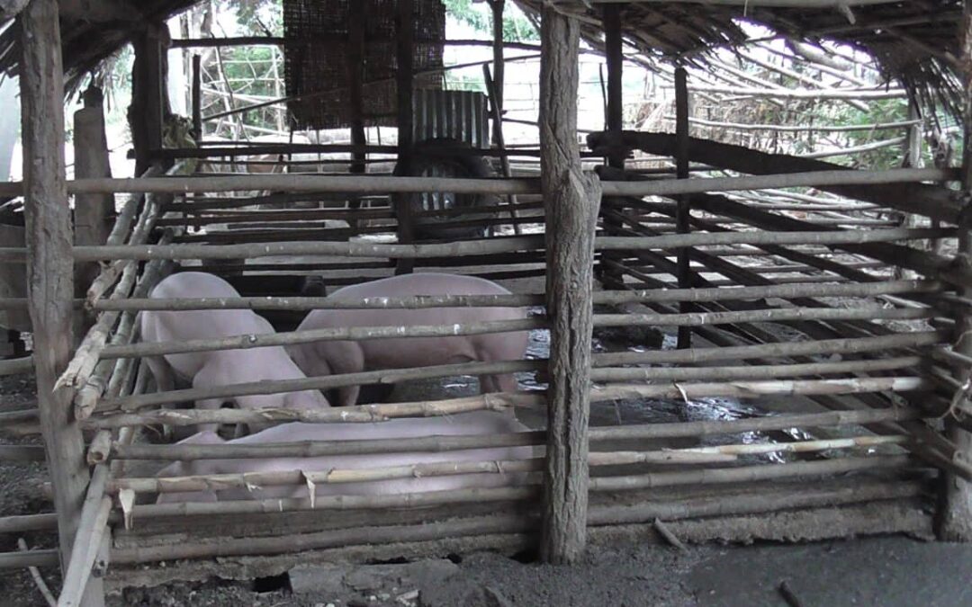 အခိၚ်အခါဟွံသေၚ် ကၠိက်က္တဵုဒှ်ယဲတုဲ ချိုတ်ဂၠိုၚ်၊ လ္ၚဵုဂှ် ကၠိက်ချိုတ်ယဲဏံ ပၠုပ်သွံမံၚ်ဗွဝ်ဖျာနွံ