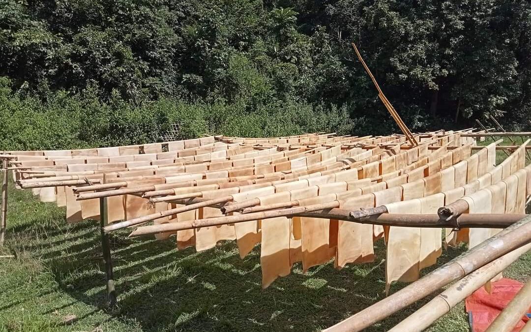 ထ္ၜိုတ်ဂတှ်ေအဆံၚ်သၠုၚ် မုက်ဂၞန် (၁) ဂှ် ပရဲပရၚ်ဂၠိုၚ်လေဝ် တၠကၠအ်ထ္ၜိုတ်တအ် ကၠောန်ဟွံမာန်ဂး