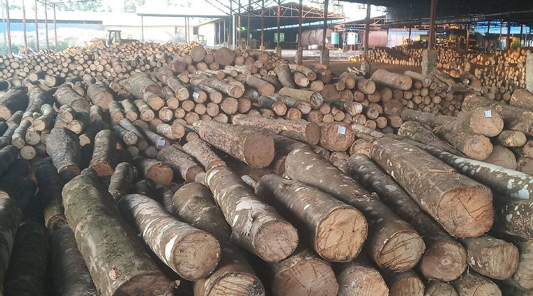 ရုၚ်စက်ဆုထ္ၜိုတ်တအ် ဒးအကံက်ဂၠိုၚ်တုဲ ရာန်ဖျဝ်ၚုဟ်ဆုထ္ၜိုတ်ရောၚ် ရဲလိၚ်ကုတ်ဆုတအ်ဟီု