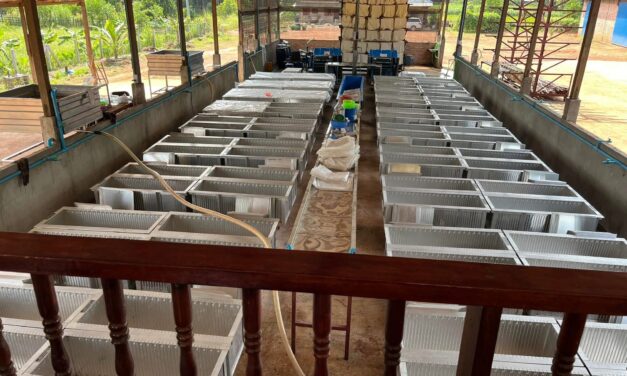 ၚုဟ်ထ္ၜိုတ်ပရေံတုဲ တၠကၠအ်တအ် မိက်ဂွံထဗိုၚ်တဵုတၟိလေဝ် မၞိဟ်ရာန်ဆုထ္ၜိုတ်ဟွံမွဲ